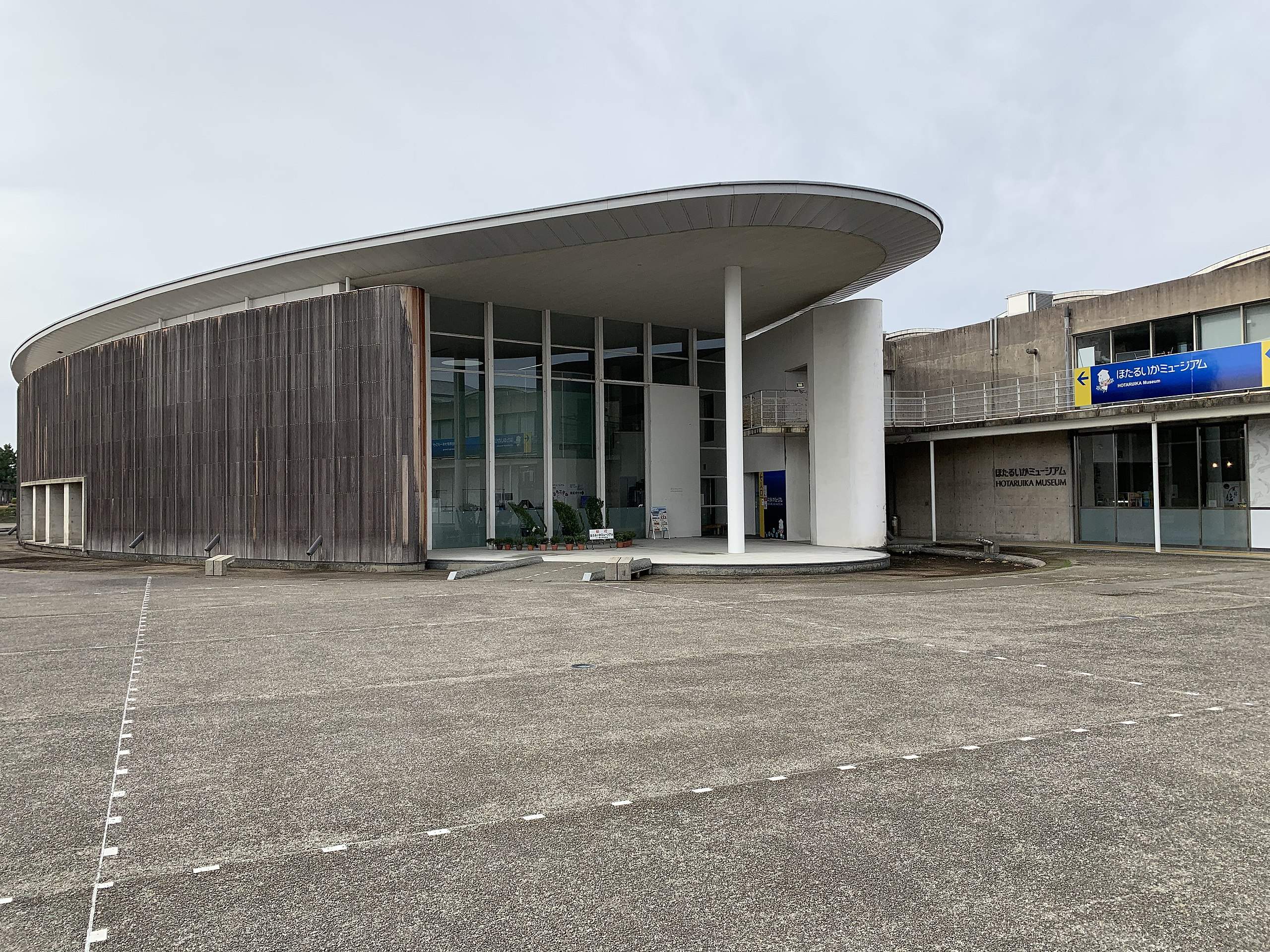 🦑 반딧불오징어 박물관(호타루이카 뮤지엄) 이미지 7